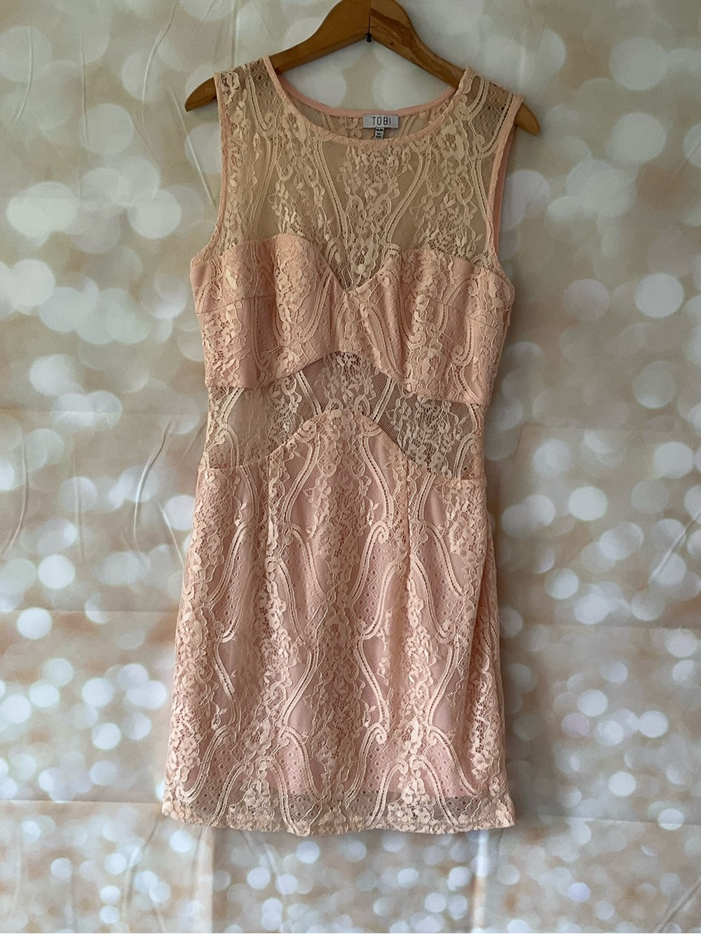 TOBI Champagne Pink Lace Dress